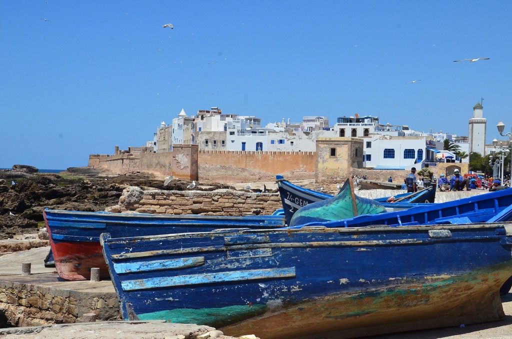 2-Day Journey to the Charming City of Essaouira (Mogador)