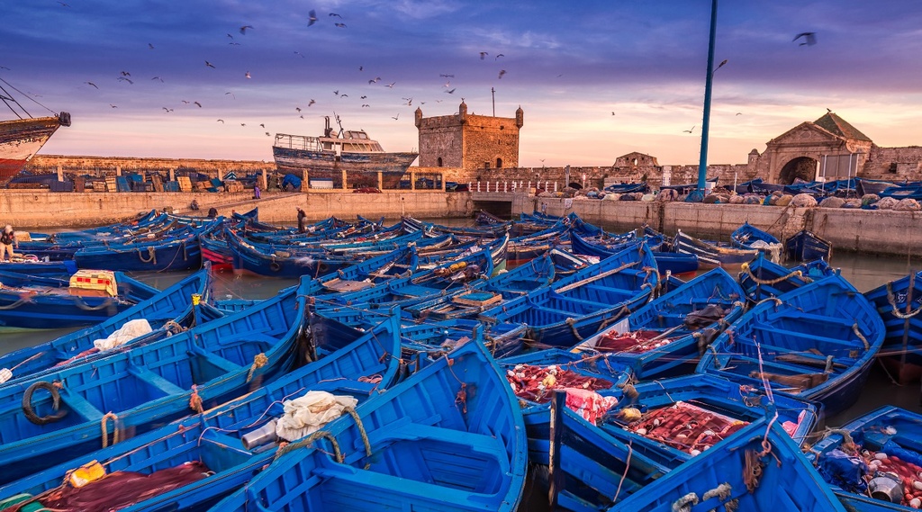 2-Day Journey to the Charming City of Essaouira (Mogador)